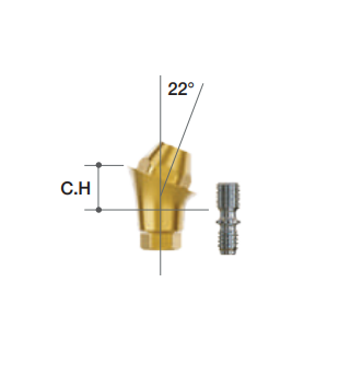RC Multi-Unit-Abutment & Komponenten ( 22° )