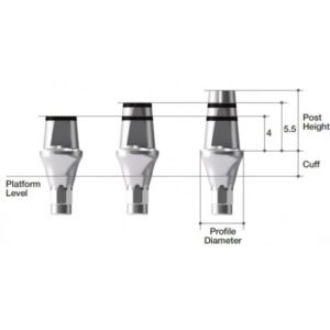 EZ Post Abutment [BD]